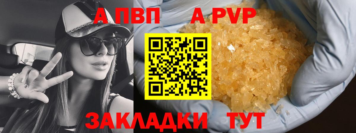 Альфа ПВП СК Малгобек