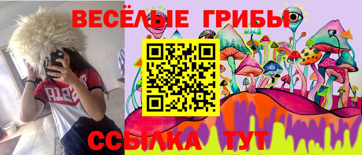Малгобек  Галлюциногенные грибы прущие грибы  Вход с VPN 