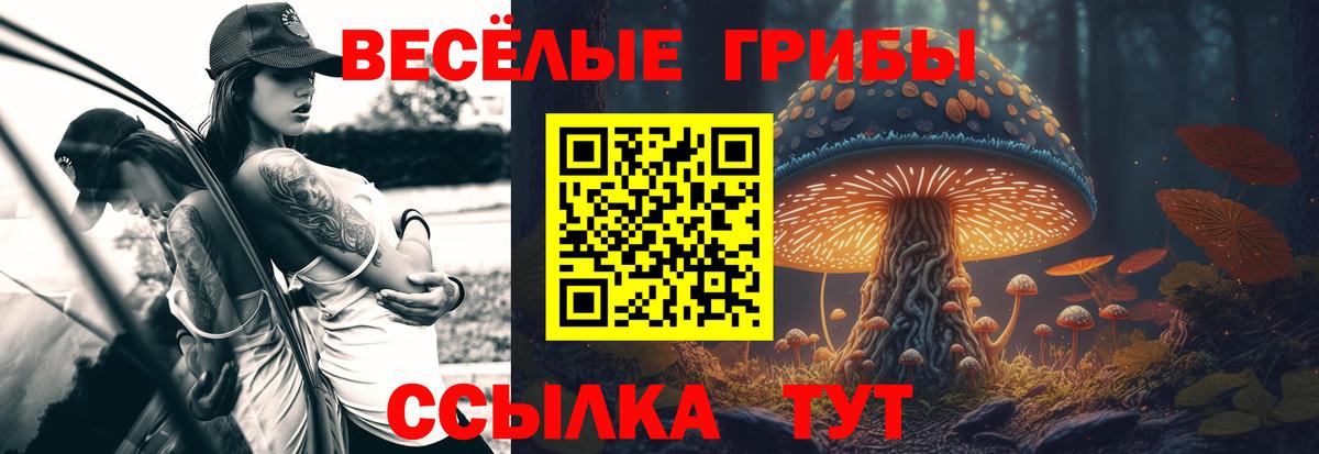 Псилоцибиновые грибы прущие грибы Малгобек